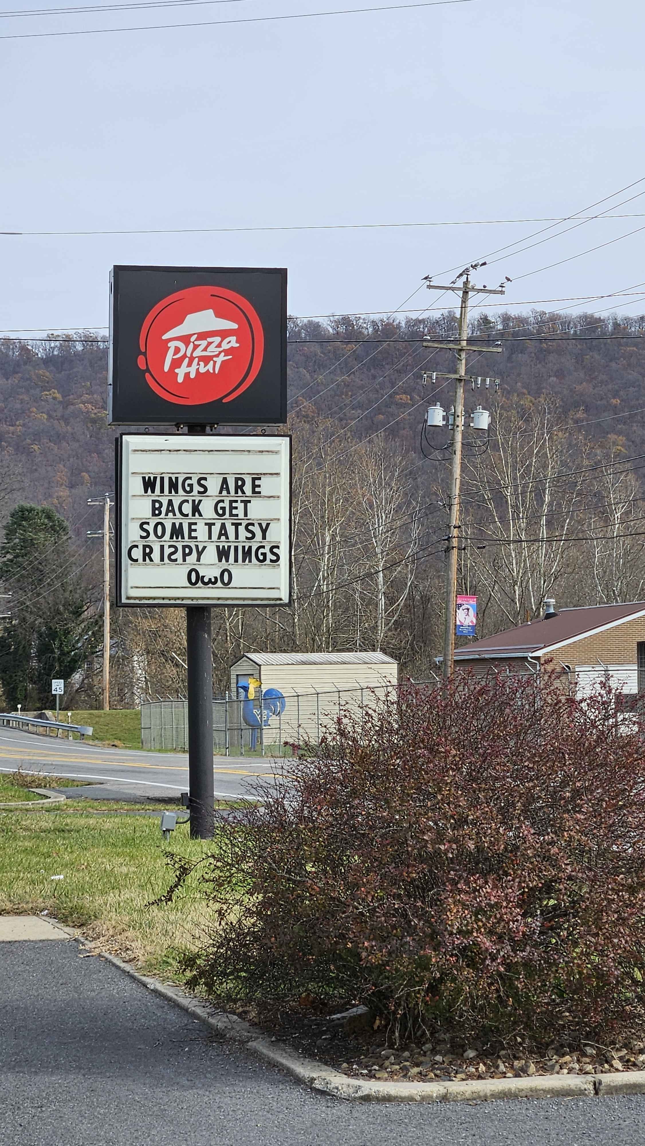Pizza Hut roadside sign reading 'WINGS ARE BACK GET SOME TATSY CRISPY WINGS OwO' with an Appalachian ridge visible in the background and red-leafed shrubs in the foreground